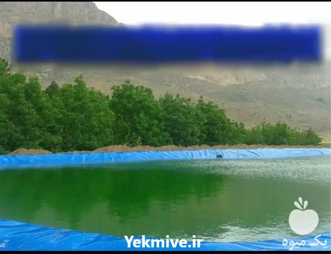 ارائه و فروش ورق زیوممبران در شیراز در گروه خرید و فروش استخر کشاورزی در یکمیوه -عکس1