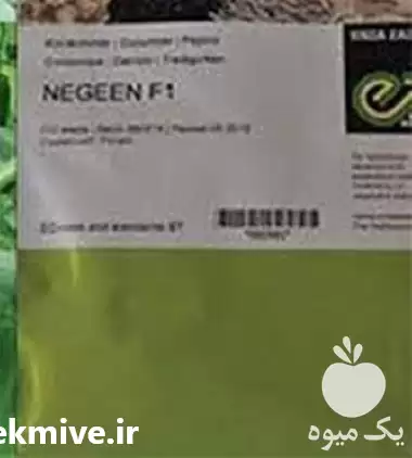 فروش ویژه بذر خیار نگین در تهران در گروه خرید و فروش بذر خیار در یکمیوه -عکس1