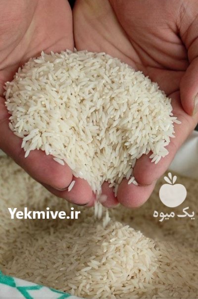 برنج طارم معطر محلی اعلا در ساری در گروه خرید و فروش برنج در یکمیوه -عکس1