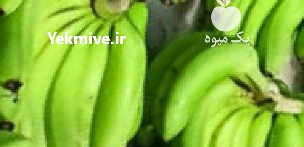 فروش واردات عمده موز اکوادور در گروه خرید و فروش موز در یکمیوه -عکس1