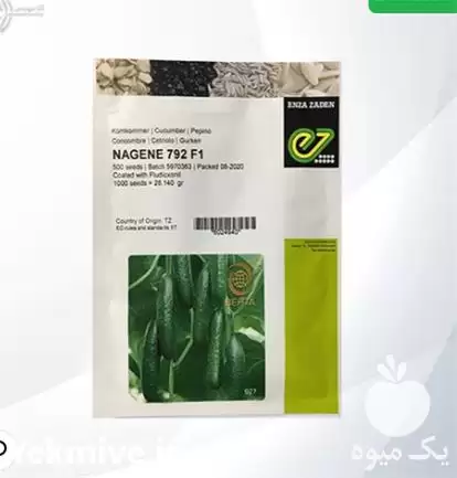 فروش بذر خیار ناگین در ارومیه در گروه خرید و فروش بذر خیار در یکمیوه -عکس1