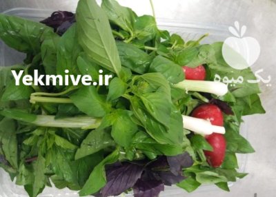 سبزی پاک شده در گروه خرید و فروش سبزی های برگی در یکمیوه -عکس1