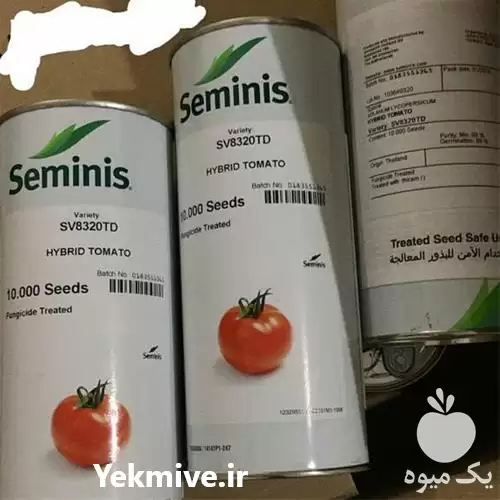 قیمت خرید بذر گوجه فرنگی ثمین در شیراز در گروه خرید و فروش بذر گوجه در یکمیوه -عکس1