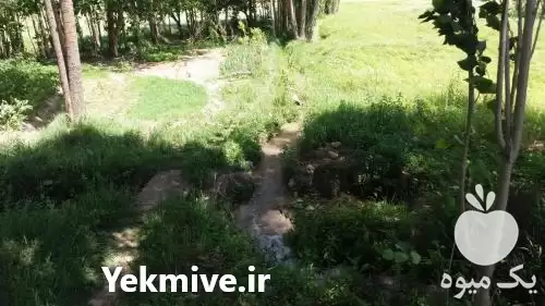 بیل زدن زمین باغ و باغچه در گروه خدمات باغبانی در یکمیوه -عکس1