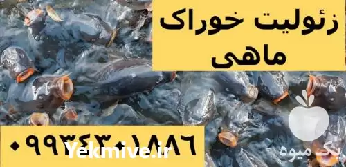 فروش زئولیت خوراک دام و طیور در تهران در گروه خوراک دام و طیور در یکمیوه -عکس1