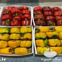 عمده فلفل دلمه رنگی صادراتی در اصفهان در گروه خرید و فروش فلفل در یکمیوه