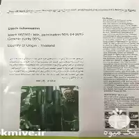 فروش بذر خیار گلخانه ای ناگین در گروه خرید و فروش بذر خیار در یکمیوه