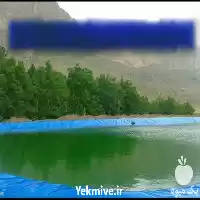 ارائه و فروش ورق زیوممبران در شیراز در گروه خرید و فروش استخر کشاورزی در یکمیوه