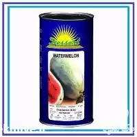 قیمت خرید بذر هندوانه Charleston GREY در مشهد در گروه خرید و فروش بذر هندوانه در یکمیوه