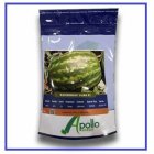 فروش بذر هندوانه یلدا بذر هندوانه در اهواز در گروه خرید و فروش بذر هندوانه در یکمیوه