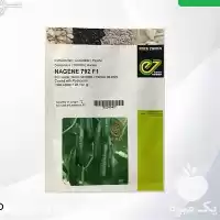 فروش بذر خیار ناگین در ارومیه در گروه خرید و فروش بذر خیار در یکمیوه