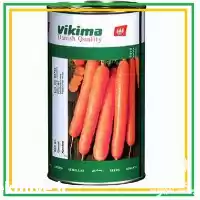 فروش بذر هویج استاندارد نانتس ویکیما در گروه خرید و فروش بذر هویج در یکمیوه