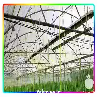 فروش گرماتاب گلخانه ای در رشت در گروه خرید و فروش بخاری و هیتر گلخانه در یکمیوه