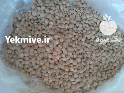 حبوبات زودپز در شهریار در گروه خرید و فروش غلات و حبوبات در یکمیوه -عکس1