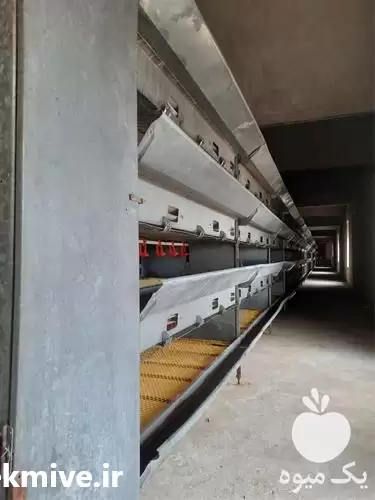 قیمت خرید قفس مرغ تخم گذار در اهواز در گروه تجهیزات مرغداری در یکمیوه -عکس1