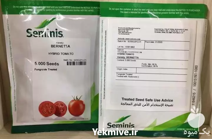 فروش بذر گوجه برنتا در شیراز در گروه خرید و فروش بذر گوجه در یکمیوه -عکس1