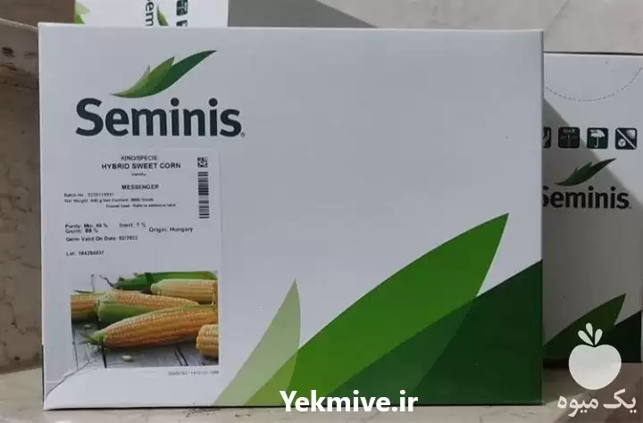 قیمت خرید بذر ذرت مسنجر در شیراز در گروه خرید و فروش بذر ذرت در یکمیوه -عکس1