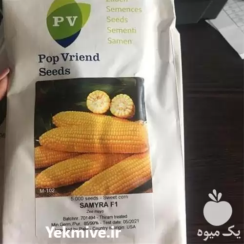 فروش بذر ذرت شیرین سمیرا در شیراز در گروه خرید و فروش بذر ذرت در یکمیوه -عکس1