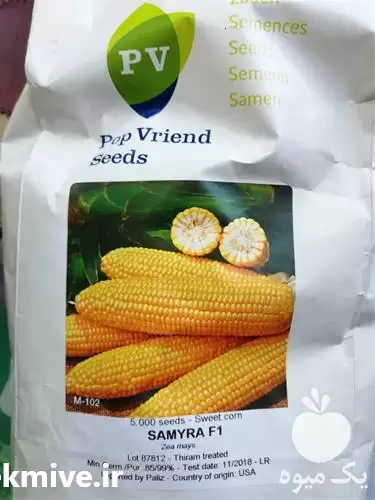 فروش بذر ذرت سمیرا سفید در شیراز در گروه خرید و فروش بذر ذرت در یکمیوه -عکس1