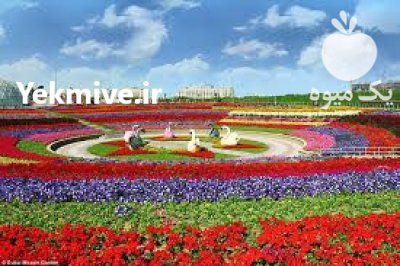 خدمات باغ گلستان در گروه خدمات باغبانی در یکمیوه -عکس1