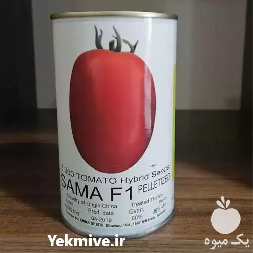 قیمت خرید بذر گوجه فرنگی سما در اردبیل در گروه خرید و فروش بذر گوجه در یکمیوه -عکس1