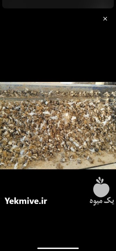 کود مرغ سالنی کود مرغ خالص در گروه خرید و فروش کود مرغی در یکمیوه -عکس1