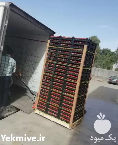 قیمت خرید نبشی مقوایی در گروه انواع بسته بندی محصول در یکمیوه -عکس1