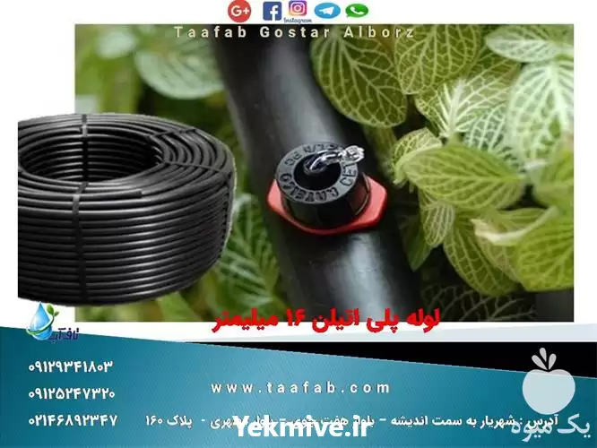 قیمت خرید لوله پلی اتیلن 16 در تهران در گروه خرید و فروش لوله پلی اتیلن در یکمیوه -عکس1