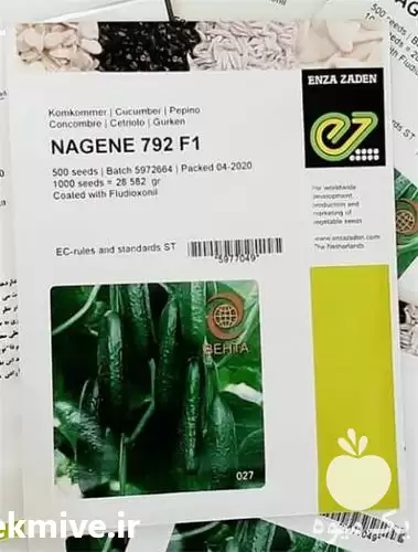 قیمت خرید بذر خیار ناگین در خرم‌ آباد در گروه خرید و فروش بذر خیار در یکمیوه -عکس1