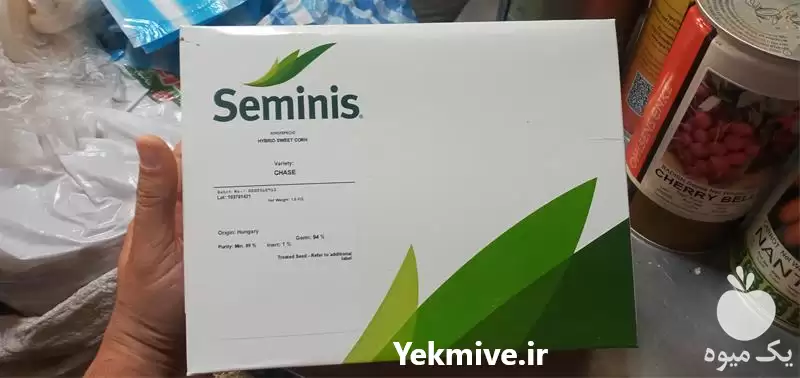 فروش بذر ذرت چیس شرکت سیمینس در بوشهر در گروه خرید و فروش بذر ذرت در یکمیوه -عکس1