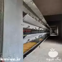 قیمت خرید قفس مرغ تخم گذار در اهواز در گروه تجهیزات مرغداری در یکمیوه