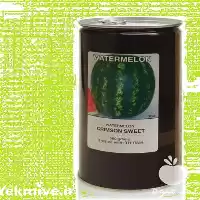 قیمت خرید بذر هندوانه پاسکال در کرج در گروه خرید و فروش بذر هندوانه در یکمیوه