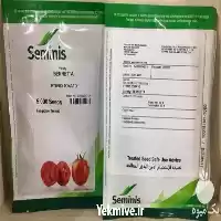 فروش بذر گوجه برنتا در شیراز در گروه خرید و فروش بذر گوجه در یکمیوه