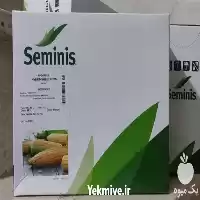 قیمت خرید بذر مسنجر اصلی در شیراز در گروه خرید و فروش انواع بذر در یکمیوه