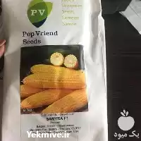 فروش بذر ذرت شیرین سمیرا در شیراز در گروه خرید و فروش بذر ذرت در یکمیوه