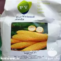 فروش بذر ذرت سمیرا سفید در شیراز در گروه خرید و فروش بذر ذرت در یکمیوه