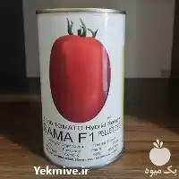 قیمت خرید بذر گوجه فرنگی سما در اردبیل در گروه خرید و فروش بذر گوجه در یکمیوه