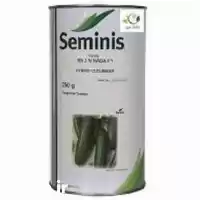 توزیع فروش بذر خیار رویال سمینیس در شیراز در گروه خرید و فروش بذر خیار در یکمیوه