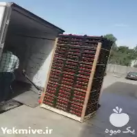 قیمت خرید نبشی مقوایی در گروه انواع بسته بندی محصول در یکمیوه