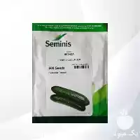 فروش بذر خیار مونزا سیمینس بذر در گروه خرید و فروش بذر خیار در یکمیوه