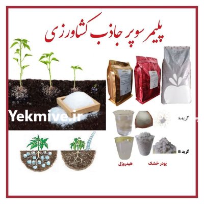 پلیمر سوپر جاذب کشاورزی در رشت در گروه خرید و فروش انواع کود کشاورزی در یکمیوه -عکس1