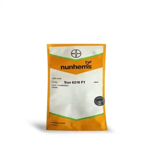 قیمت خرید بذر گوجه فرنگی 6216 سانسید در تبریز در گروه خرید و فروش بذر گوجه در یکمیوه -عکس1