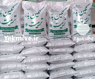 فروش بذر یونجه درجه یک تضمینی در سرخس در گروه خرید و فروش بذر یونجه در یکمیوه -عکس1