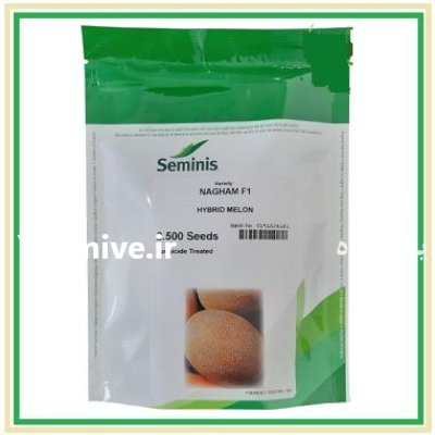 فروش بذر ملون نغم سمینیس NAGHAM در اهواز در گروه خرید و فروش بذر ملون در یکمیوه -عکس1