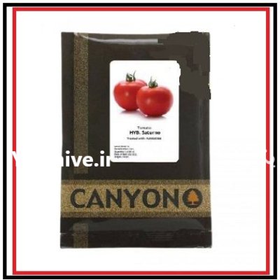 فروش بذر گوجه فرنگی ساتورنو Saturno در اهواز در گروه خرید و فروش بذر گوجه در یکمیوه -عکس1