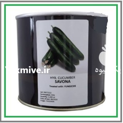 فروش بذر خیار هیبرید ساونا SAVONA در اهواز در گروه خرید و فروش بذر خیار در یکمیوه -عکس1