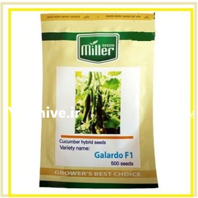 فروش بذر خیار گلخانه ای گالاردو در اهواز در گروه خرید و فروش بذر خیار در یکمیوه -عکس1