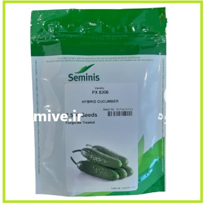 فروش بذر خیار پی ایکس 8306 در اهواز در گروه خرید و فروش بذر خیار در یکمیوه -عکس1