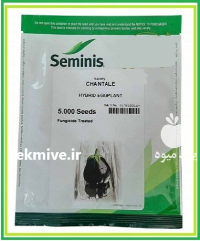 فروش بذر بادمجان دلمه ای هیبرید در گروه خرید و فروش بذر بادمجان در یکمیوه -عکس1