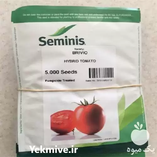 فروش بذر گوجه فرنگی بریویو در شیراز در گروه خرید و فروش بذر گوجه در یکمیوه -عکس1